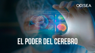 El poder del cerebro El poder del cerebro Tivify Odisea